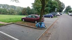 sprzątanie parkingów przy ul. Kowalskiej